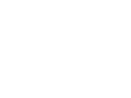 Mercedes Vans