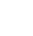 Renault Vans